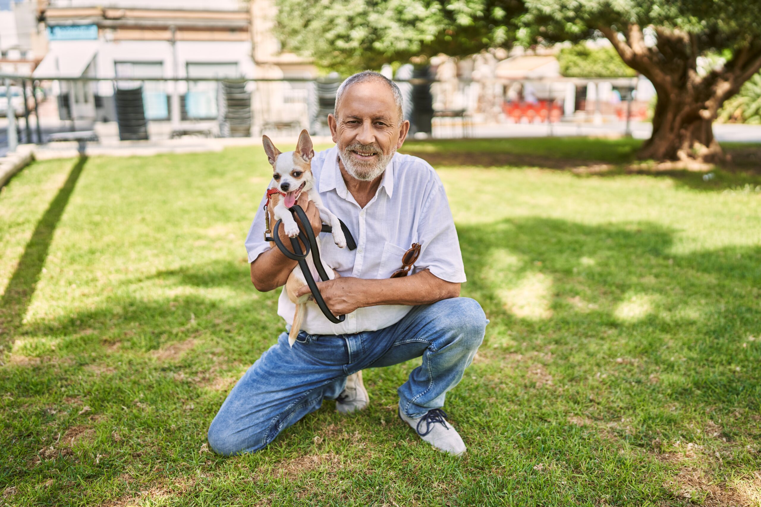 Senior man smiling confident hugging chihuahua at park